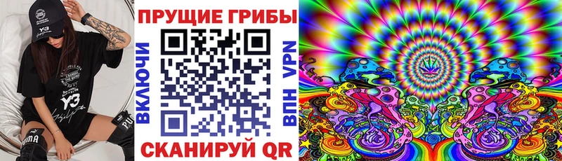 купить   Раменское  Псилоцибиновые грибы мицелий 